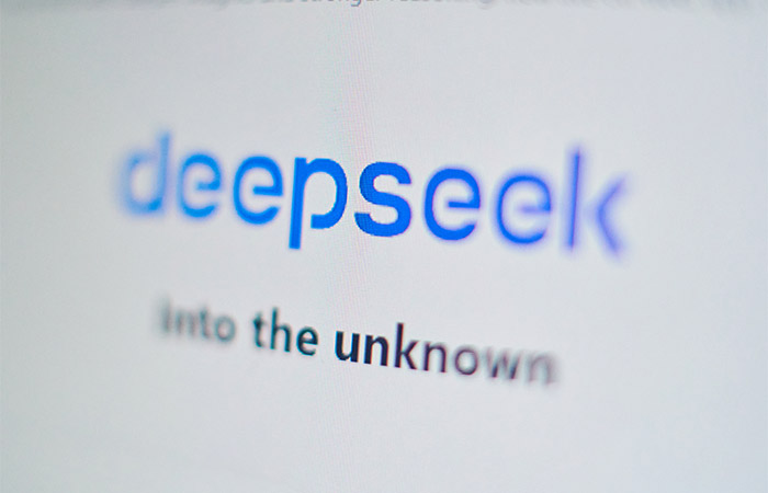 DeepSeek     -