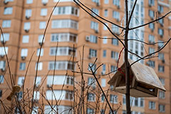 В "Инкоме" не ждут активизации рынка вторичной недвижимости Москвы до снижения ставки ЦБ
